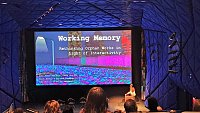 Vortrag: Working Memory